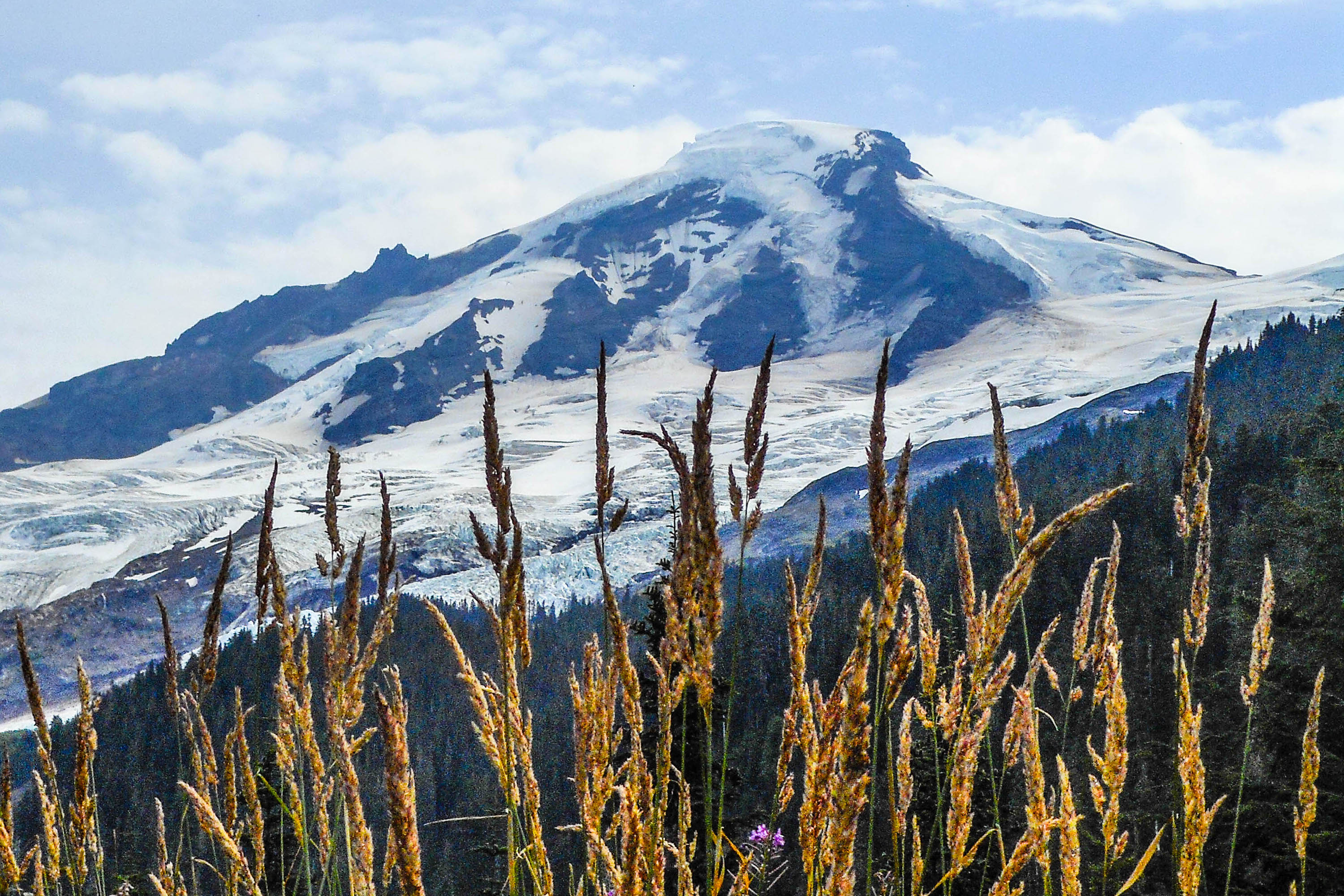 Mt. Baker