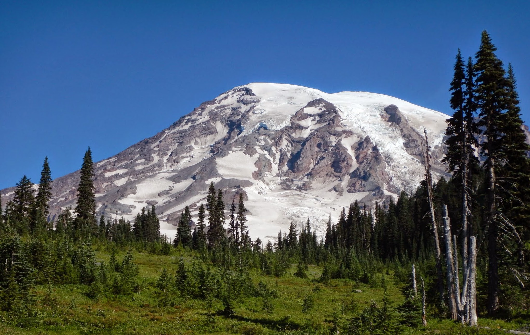 Mt. Rainier